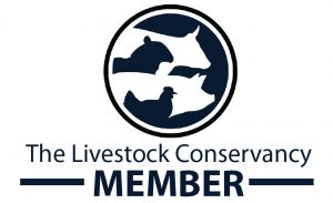 Livestock Conservancy Heritage Breed